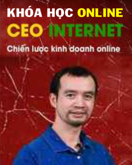 CEO INTERNET Chiến lược kinh doanh online