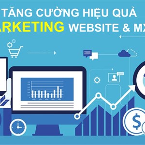 Hiệu quả marketing sử dụng Website & MXH